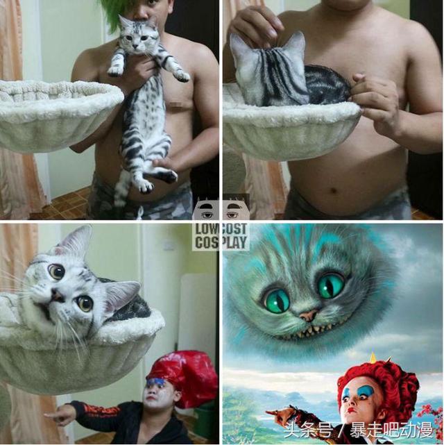 ikYlFYfledMF1ORu.jpg