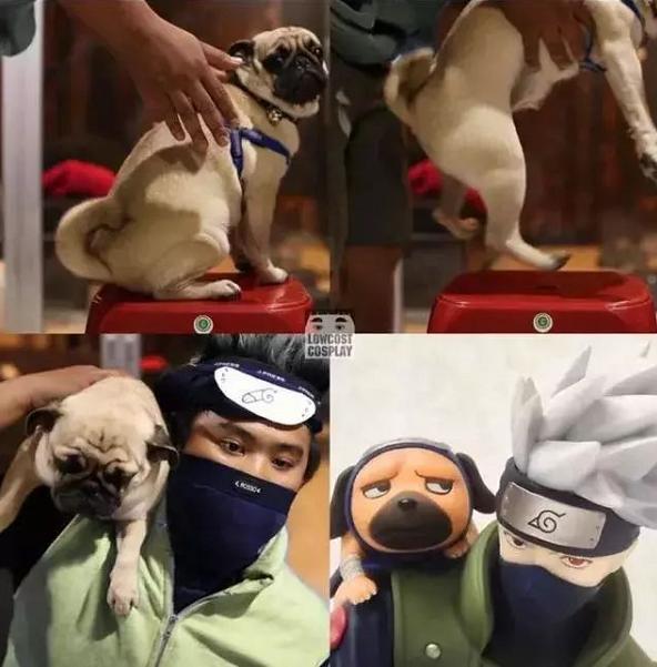 YXVFXOs44rLiwCZ9.jpg