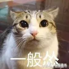 s1wTsE5ThjuH26ud.jpg