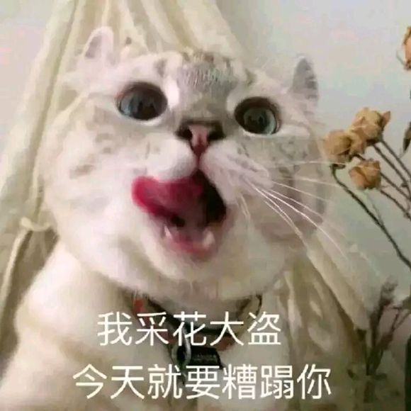 ZybL8JYZWy3WzTlB.jpg