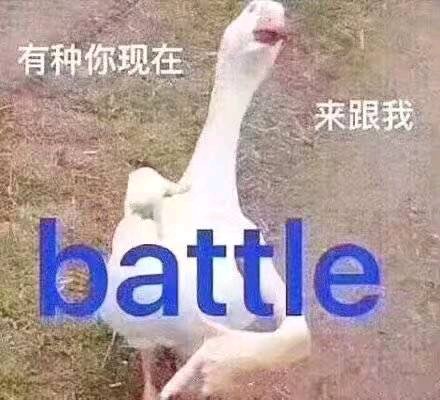 zLXLaWZC79e79EL7.jpg