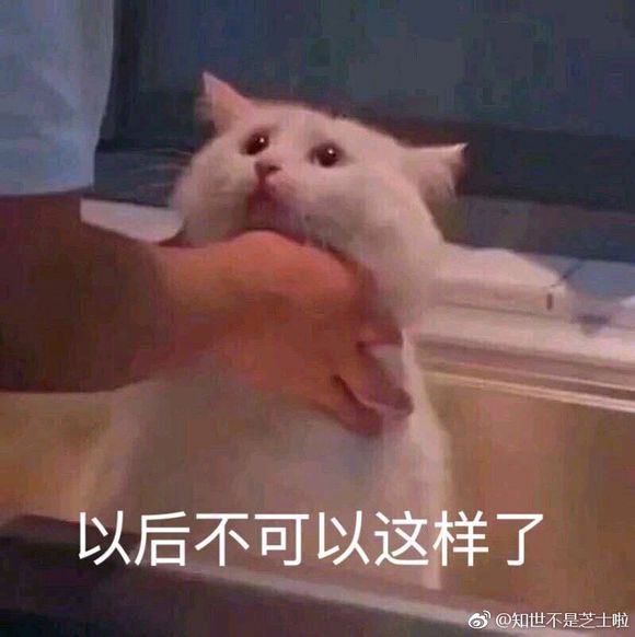 tT4zNcN1H43TY2YN.jpg