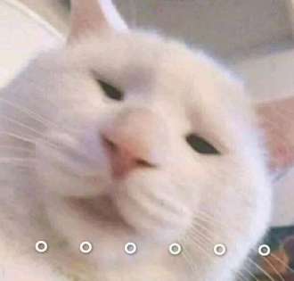 lLN66s54gxx8XZoN.jpg