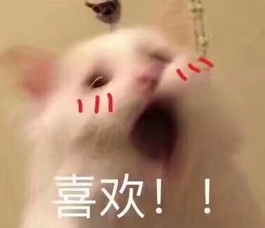 r2l9tHqWbUtqkLLL.jpg