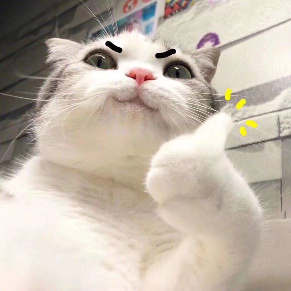 Oj4jsj3B3t329b8S.jpg