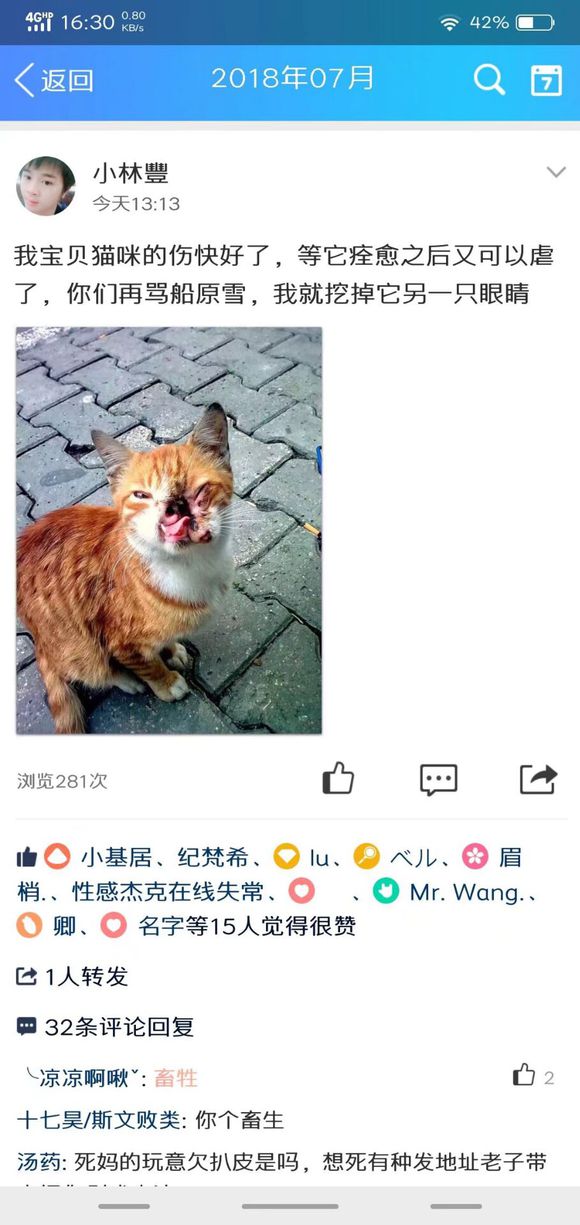 QM6mbrm7yN14iJ19.jpg