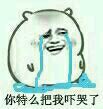 q5w280BtRma3mmRR.jpg