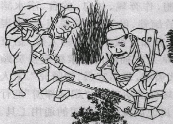ZycXiwECBIjHuH6j.jpg