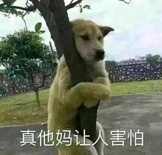 uvzz8z7yyYtv8tYY.jpg