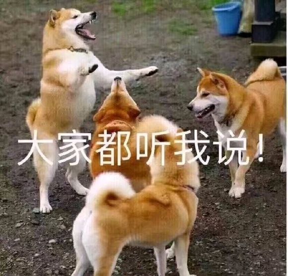 FcjVSICNciwcl0s6.jpg