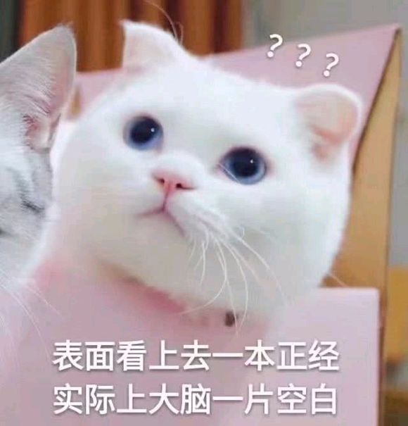 JevvUpp4Pxb55l5X.jpg