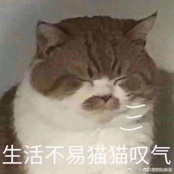 DaaDYP5yfNNFnWpe.jpg