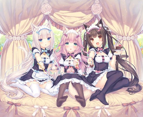 FzX3OEJJey77x7XG.jpg
