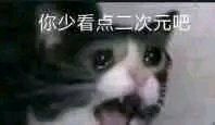 V4sFKSE480qrsrvF.jpg