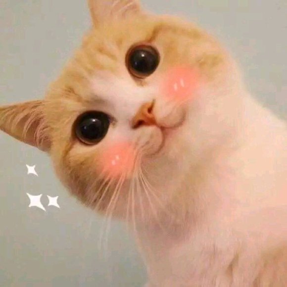 ����ͬ��������Ʒ/��Ь��������Ⱥ-1.jpg