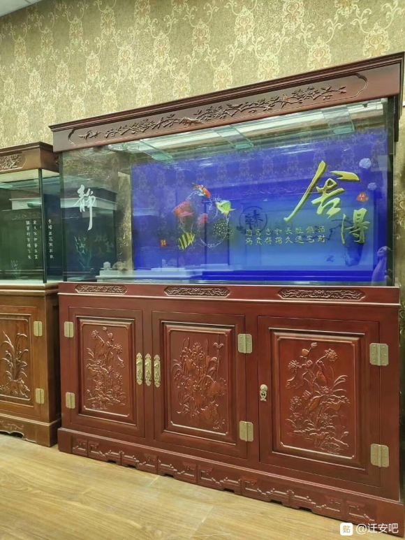 �ظ�:Ǩ���ɶ�����Ʒ������11��ר����-3.jpg