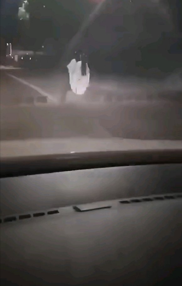 �������������Ͻ��ﳵ!-1.jpg