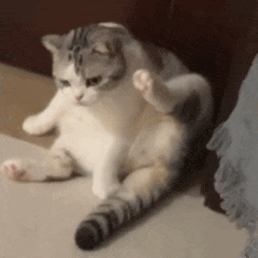 �ö຺����Ů-1.jpg