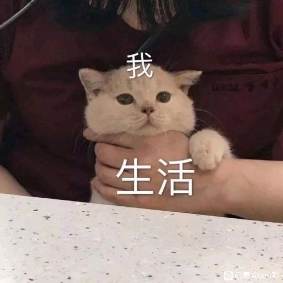 ��Ԫ����չ���顿-1.jpg