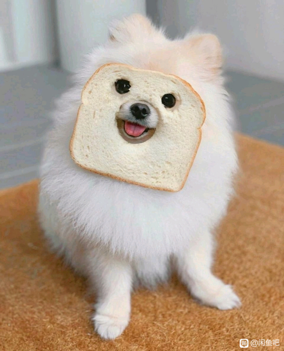 ����������һ�׺���,Ӧ�ó��۶�����?-1.jpg