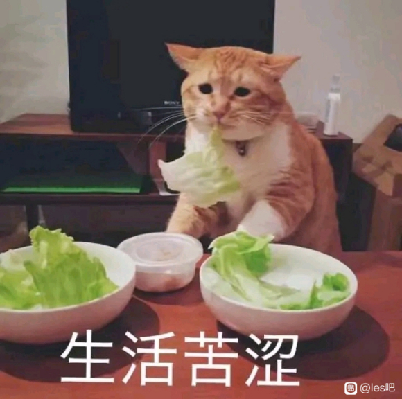 ��¼���������ճ�-1.jpg