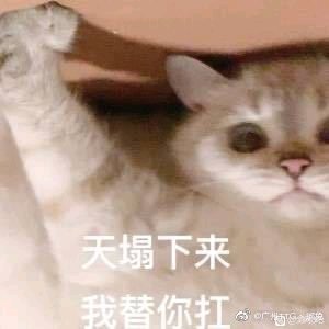 ���޹ؽ��������뺺����,������Ƽ��ڱ��ȽϺõĵ���!(˳����-2.jpg