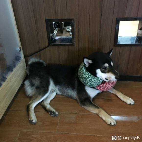 ��COS��Ƭ�����˺�ϲ��JK ˮ�ַ� LOITA,����Ԯ��,����Ҫ����˽�ҡ�-1.jpg
