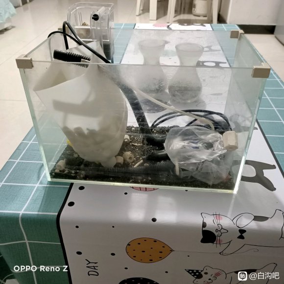 ���׹����ɡ�2021�굽2022�������Ʒ������-1.jpg