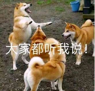 ��COS��չ��������С��red��չ����cos����С��!!-2.jpg