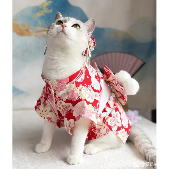 �����С��,ԭ���������,����-4.jpg