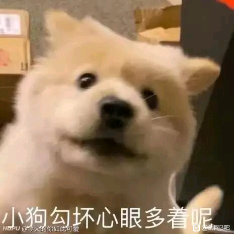 ��������û�к����Ƽ���,��������-1.jpg