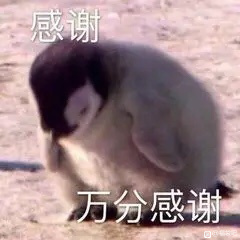 ���������ϵ�Ь ���޷� ���� ȹ�� ţ�п� ����-1.jpg