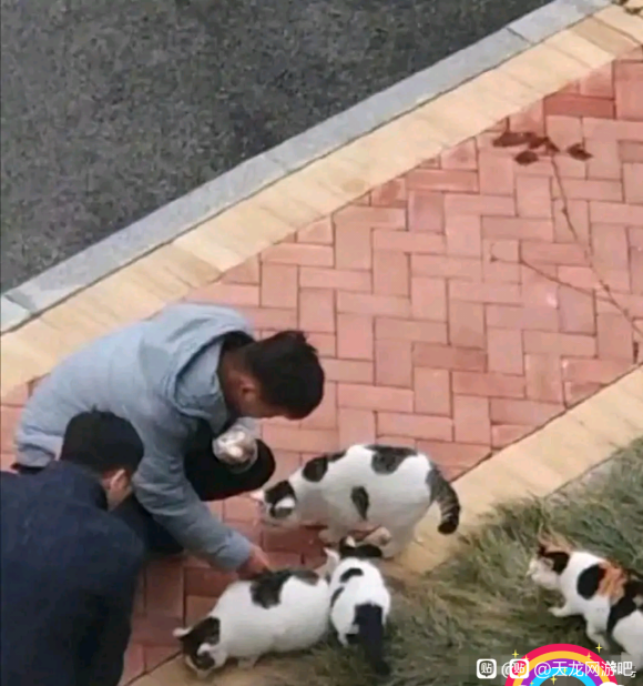Ԫ����ƷС����ô����,��������-3.jpg