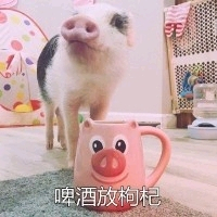 ��û������Ŀ����ȫ���г��ĺ�������-1.jpg