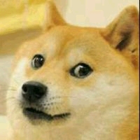 ��չ�����人�ٺ�only��չ����,��Ʊ��~-1.jpg