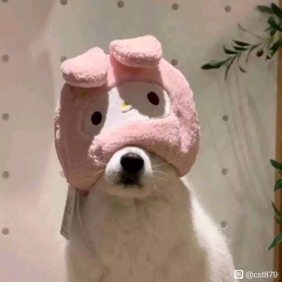 ���ɳ��ɻ����ճ�,���ú�һ�㺺����Ԫ��-1.jpg