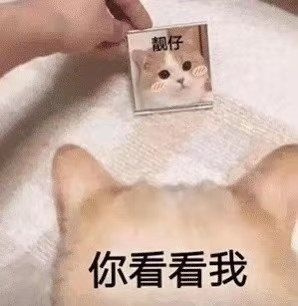 ��02-22 | �ո塿�����ƹ��պ������ͼ,���Գ��ں���,������!-1.jpg