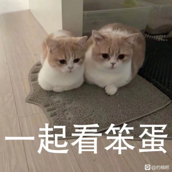��Լ�塿ͻ��������û�н���ȹ�ӻ������˹,jklo����ɶ�Ķ�-2.jpg