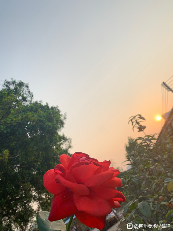 �пɰ���С���ử������Ƹ���� �볤�ں���-1.jpg