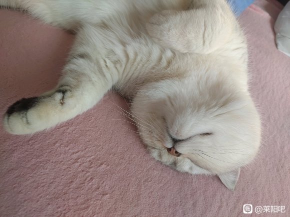 ���������캺��������û��˾��ͬ��Ը��μ� ��װ���ǻḺ���Ŷ-1.jpg