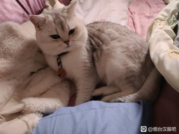 ������̨�캺������(����),��û����ʱ���˾��ͬ�ۿ�����ϵ��-1.jpg