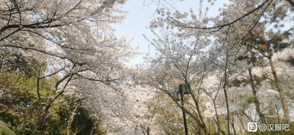 һ���˴��ź����� ���� ���������-4.jpg