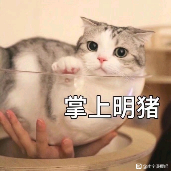 ��Լױ����һ������չ-1.jpg