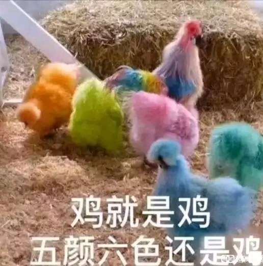 Cose��Ƭ�����뻹���ײ���?��չ�����Ҵ�!��������?-1.jpg