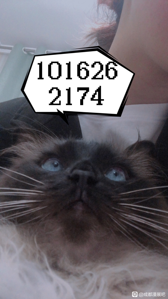 ��һ��5.1ȥ��չ����-1.jpg
