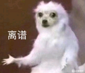 ���ɳ��ɻ�����ȹ�����˿�/����ˮ/ά��/��Ӱ��-1.jpg