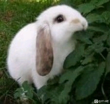 �������չ����ȥô,��Ҫһ���������־-1.jpg