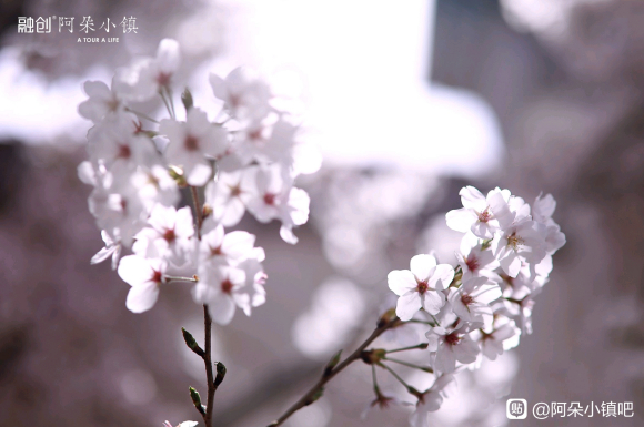 �Ͱٻ� ʳɽ�� �ź��� �δ�԰���Ұ���,�ļ������ճ�-8.jpg