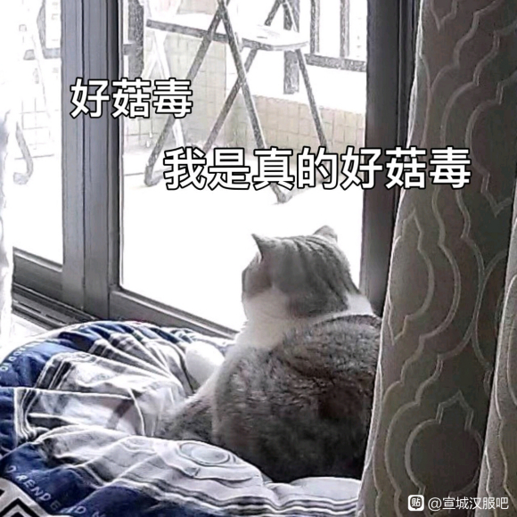 С����,Ϊʲô���Ǻ����ɵĹٷ�QȺû����-1.jpg