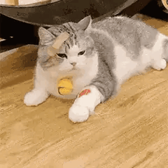 �ɶ���չ���������-1.jpg
